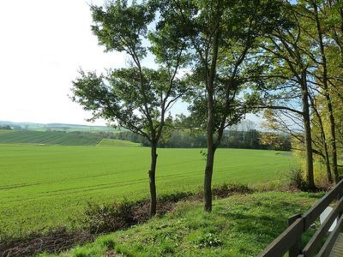 Вилла Feriendorf Sulzfeld Sulzfeld  Экстерьер фото
